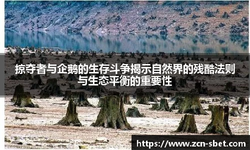 sbet实博平台