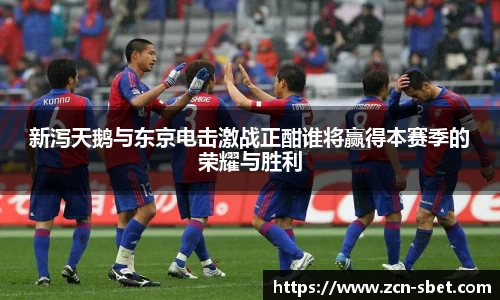 sbet实博